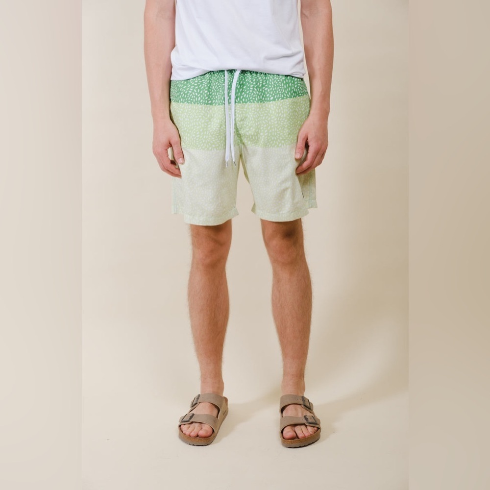 7" Spotted Stripes Swim Short, Green Swim Shorts,Men’s 2‎ pocket shorts,SZ M - Picture 2 of 8